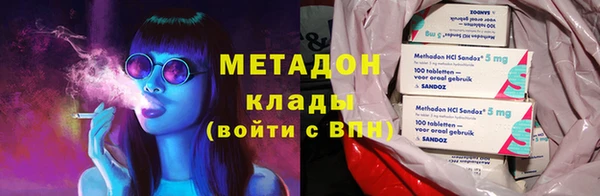 сатива Аркадак