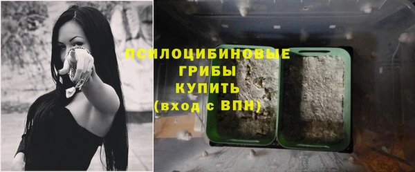 ECSTASY Балабаново