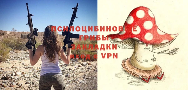 COCAINE Богородск