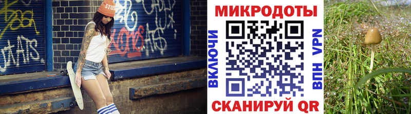 Псилоцибиновые грибы Cubensis  Макарьев 